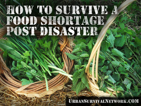 shortage survive disaster urban